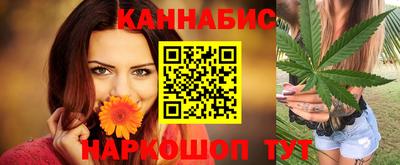 jwh Нальчик