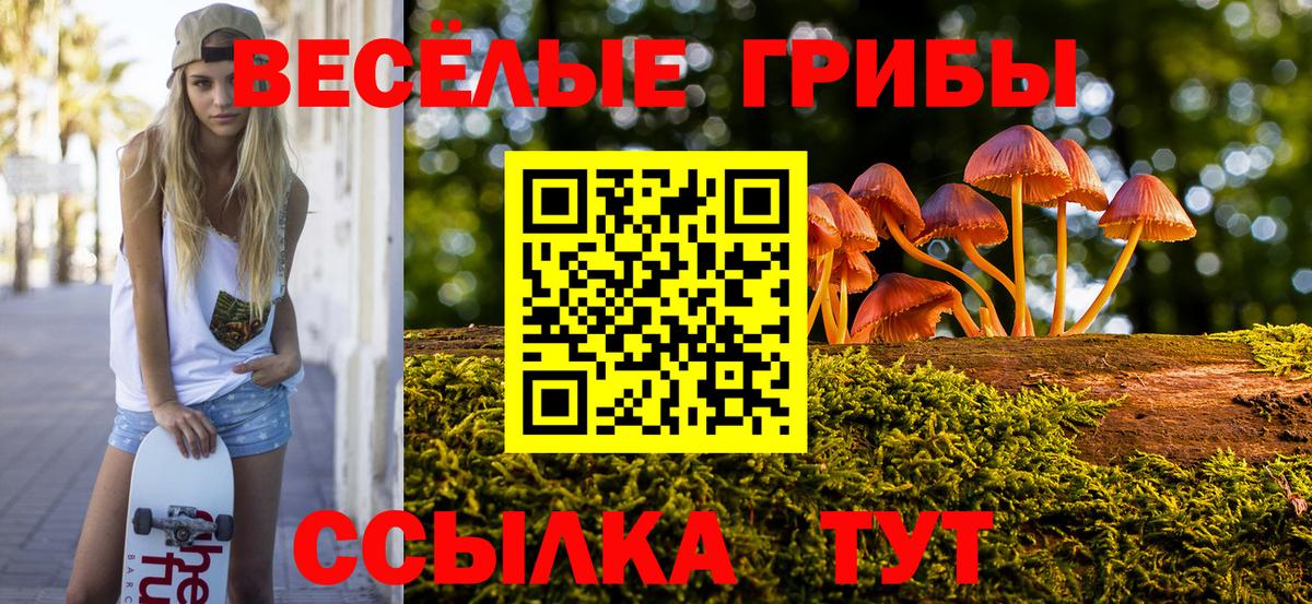 Псилоцибиновые грибы GOLDEN TEACHER  Вход с VPN  Ухта 