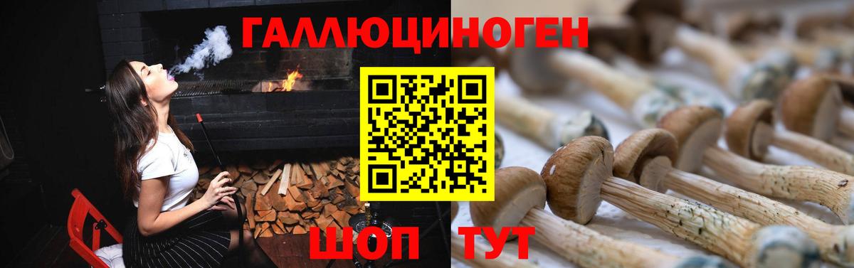 Псилоцибиновые грибы ЛСД Ухта